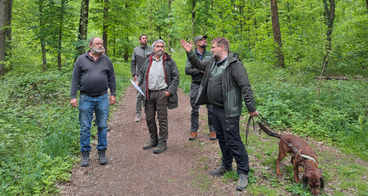 BaySF Forstbetrieb Nürnberg